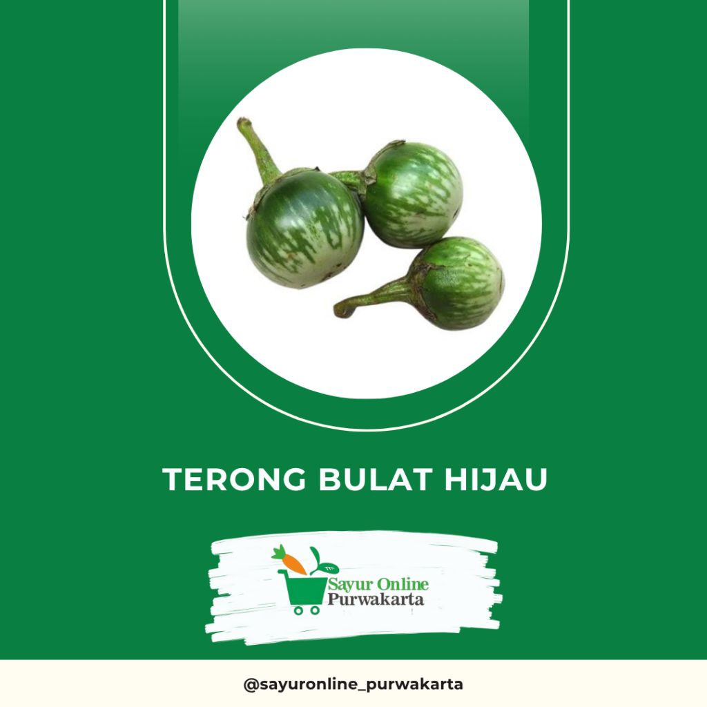 

Terong Bulat Hijau - Sayur Online Purwakarta
