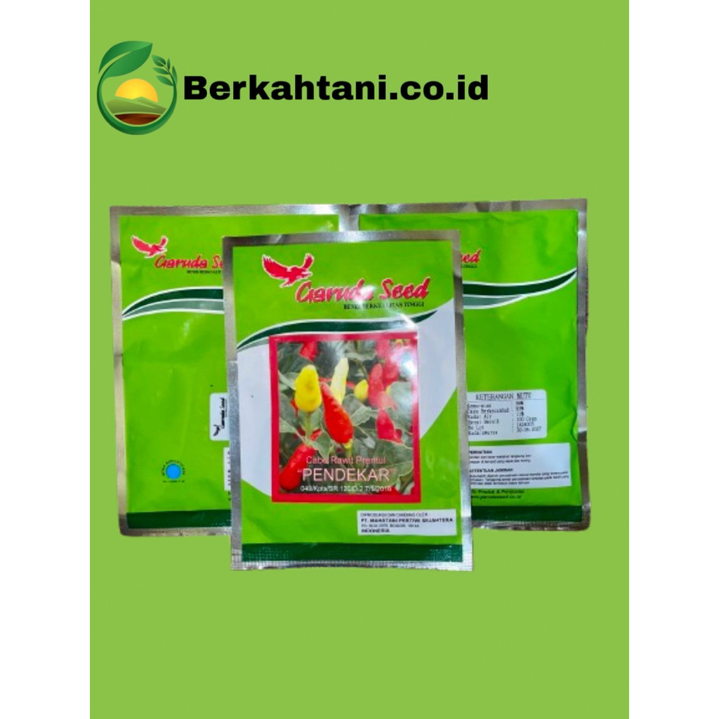 BENIH BIBIT CABE RAWIT PUTIH PRENTUL "PENDEKAR" 10 GRAM - GARUDA SEED (BISA COD)