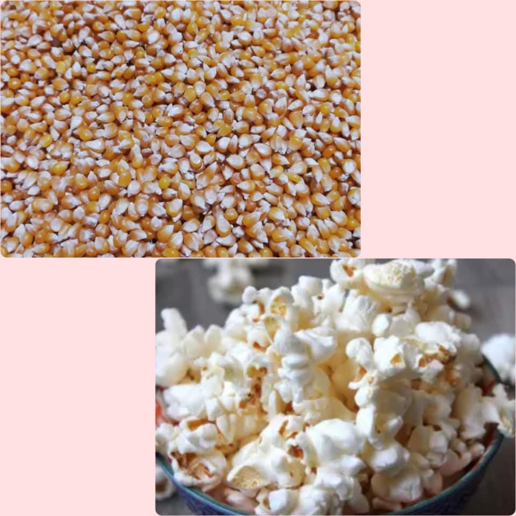 

Jagung popcorn 500gr