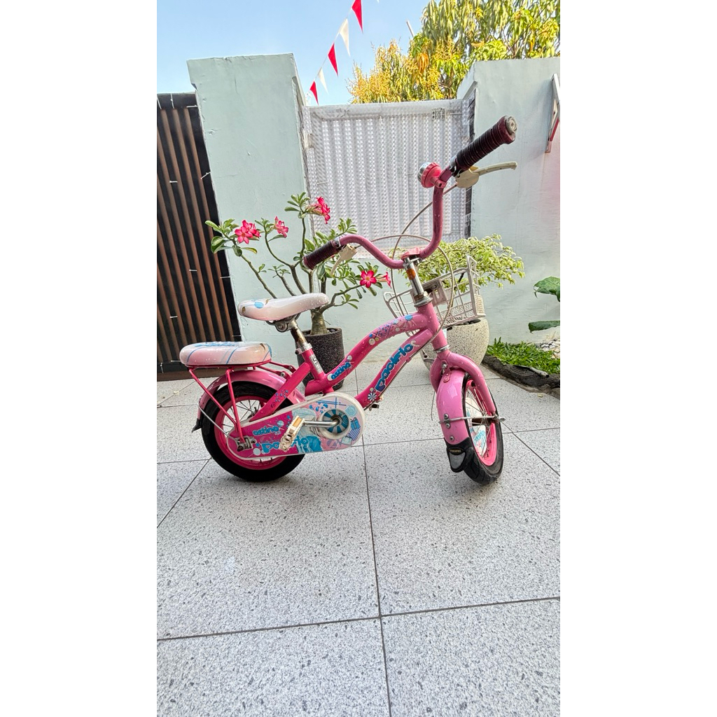 Sepeda Anak Pacific preloved