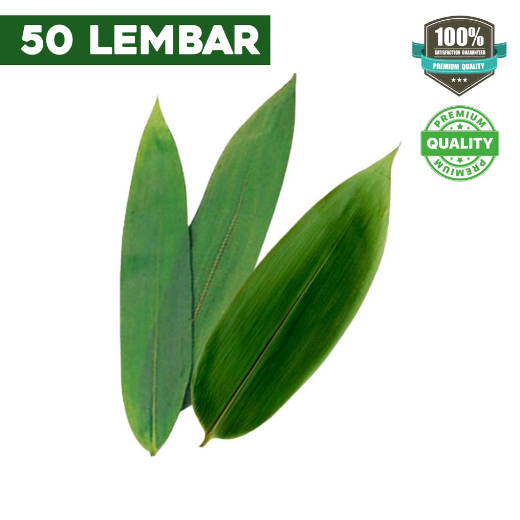 

PROMO!! DAUN BAMBU BERSIH 50 LEMBAR