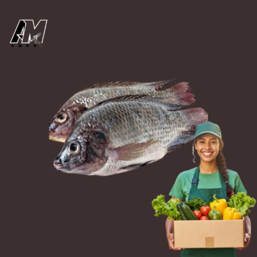 

KIRIM INSTAN IKAN NILA FRESH