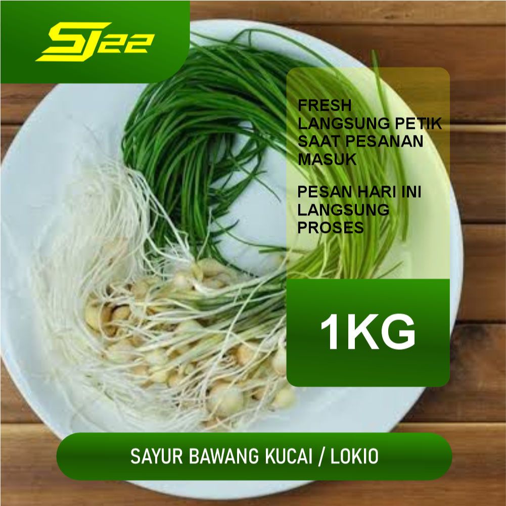 

sayur daun kucai /benih kucai segar/LOKIO 1KG