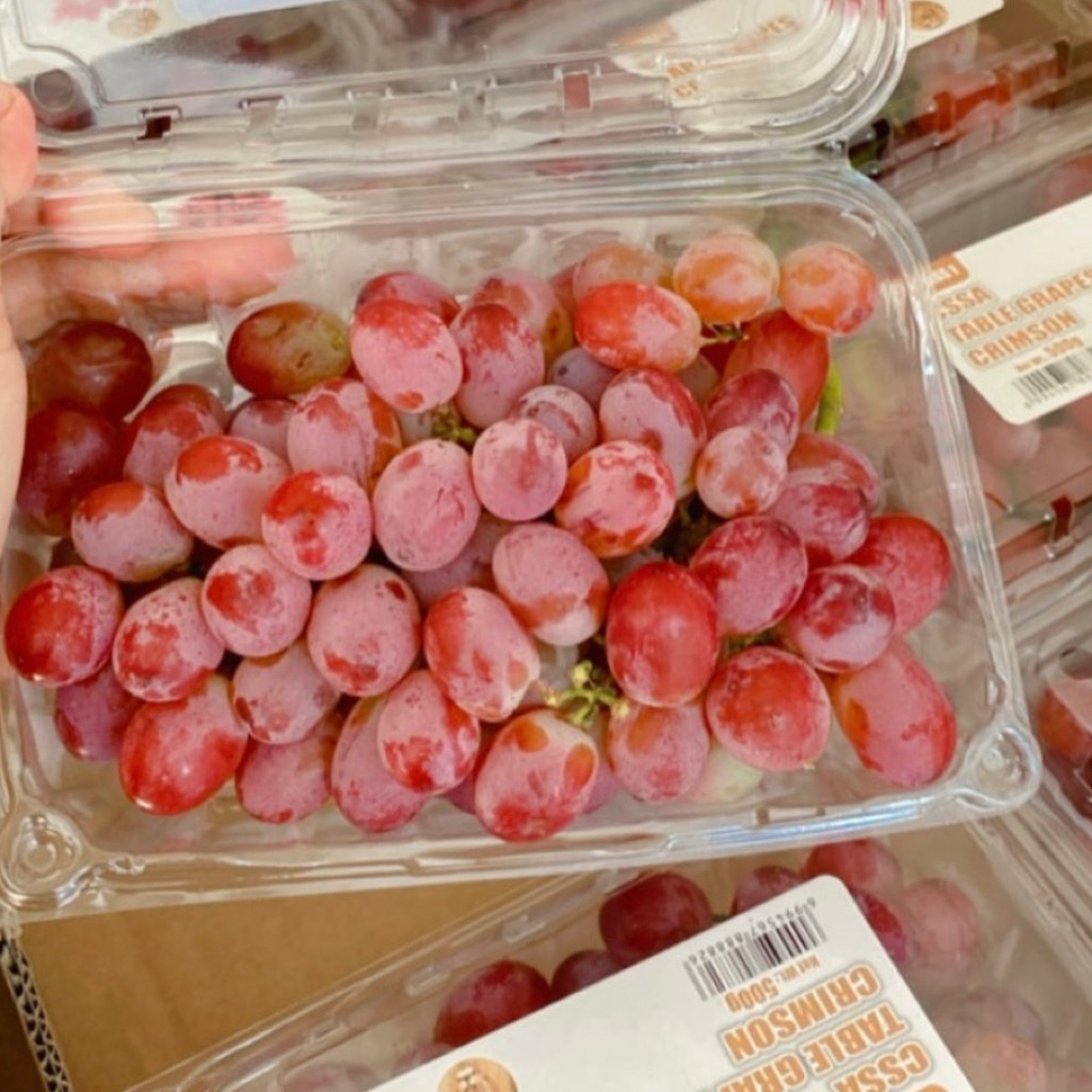 

PROMO Anggur Merah Crimson Manis Asem, Fresh dan non biji 500gr