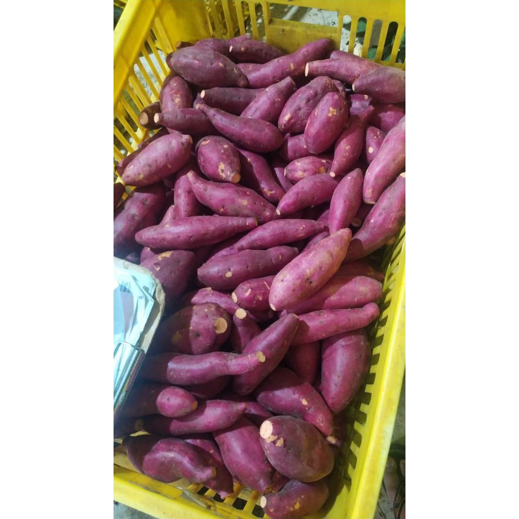 

ubi merah ubi jalar merah 1kg