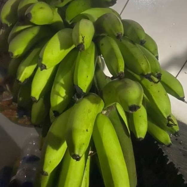 

Buah Pisang Mentah VL Pisang Bangkaulu