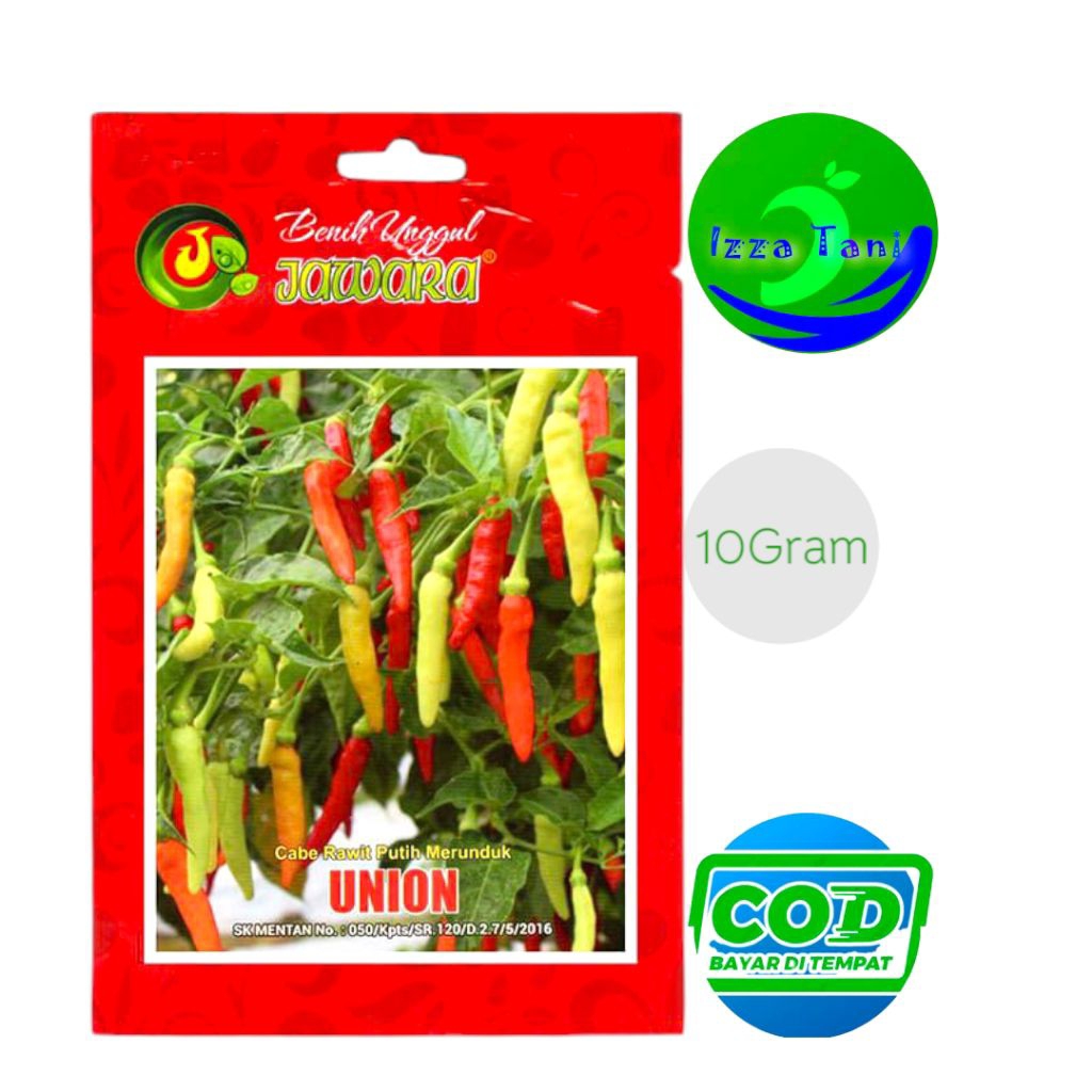 Benih Cabe Rawit Putih Union 10 Gram - Bibit Cabe Rawit - Benih Cabe Rawit Merunduk