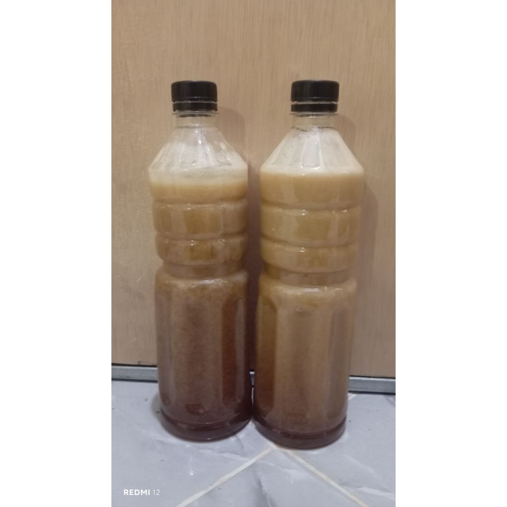 

1kg madu hutan Liar asli bukan budidaya