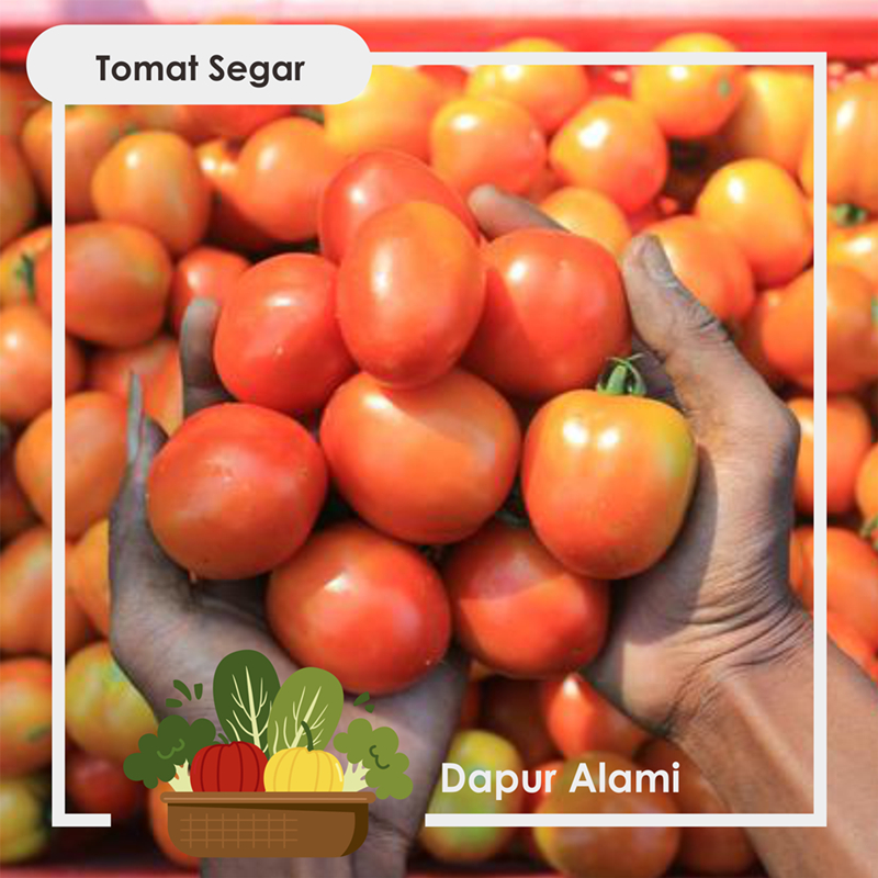 

Tomat Merah Segar per 100 Gram - Sayur Jogja