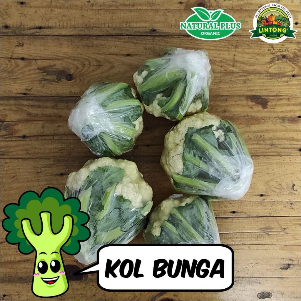 

Kol Bunga Organik Natural Plus 1biji