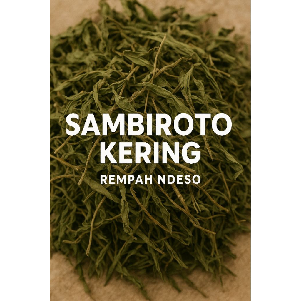 

Sambiroto Kering Alami 100Gram Asli Wonogiri– Daun Herbal Asli Berkualitas untuk Jamu & Obat Tradisional Alami