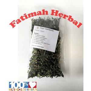 

Daun Sambiloto Curah - daun sambiloto kering - 50 gram