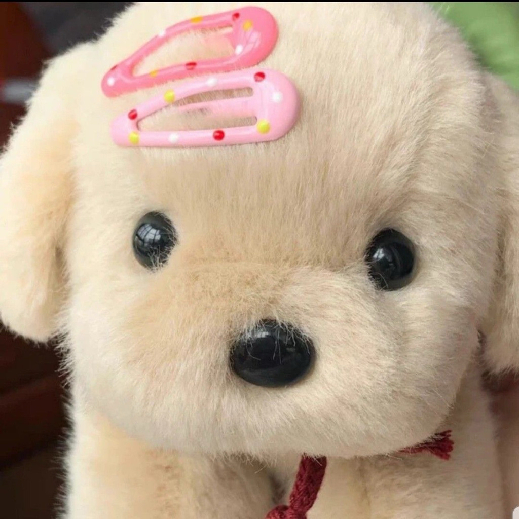 flash sale squishy ibloom @pawssieshh0.0