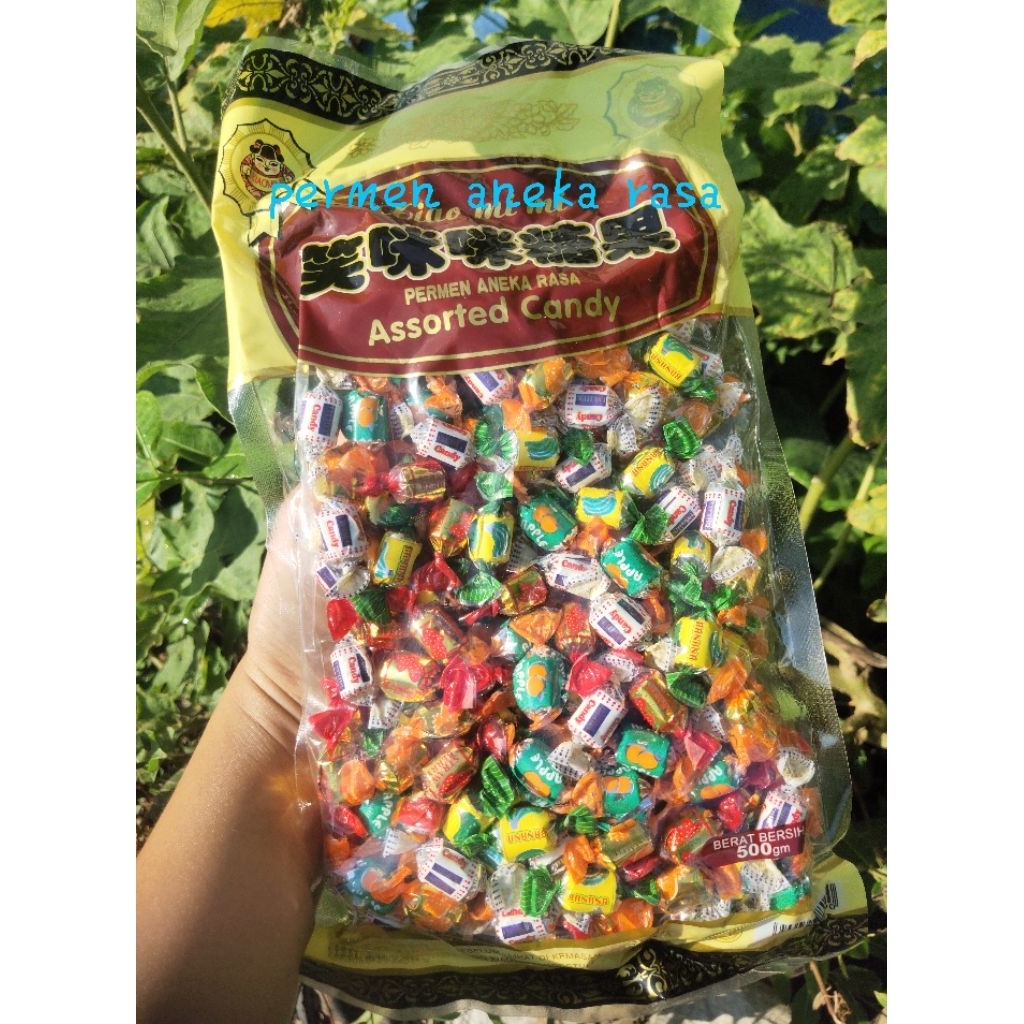 

Permen aneka rasa 500 gram