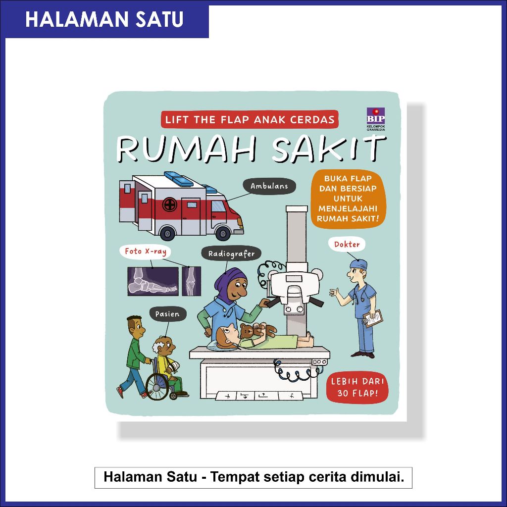 (BIP) Lift The Flap Anak Cerdas; Rumah Sakit - Templar Publishing