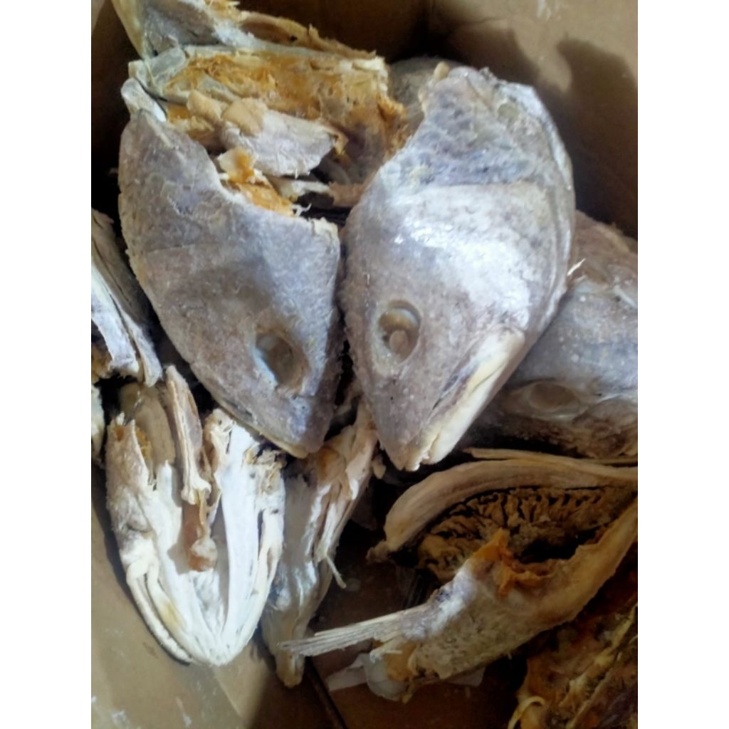 

kepala kakap super (tebal daging)