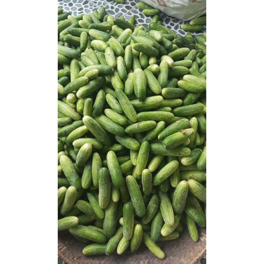 

500g TIMUN PRES LANGSUNG DARI KEBUN
