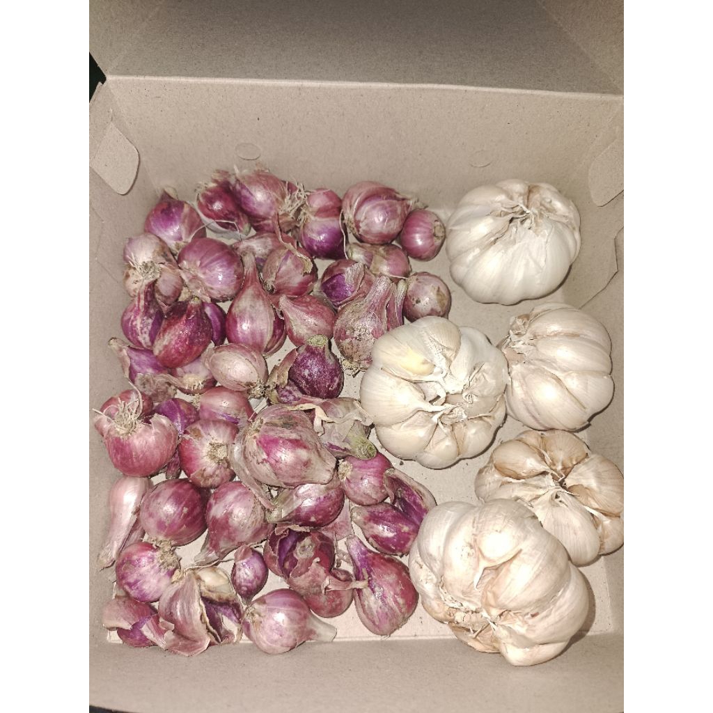 

PAKET HEMAT BAWANG MERAH & BAWANG PUTIH 500gr