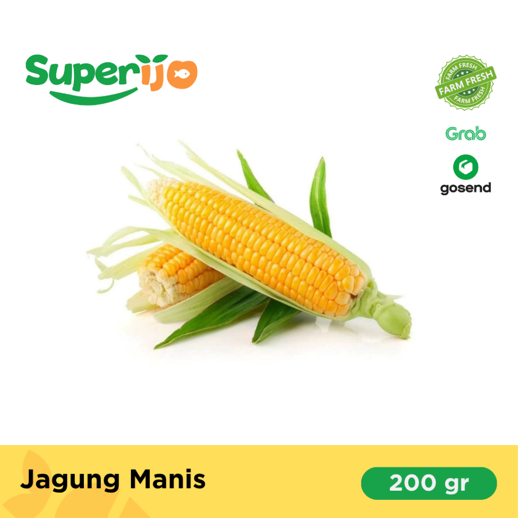 

Superijo Grosir sayur segar, Jagung Manis Murah