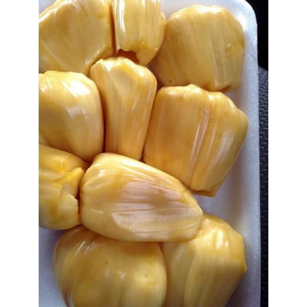 

nangka kupas fresh harga termurah