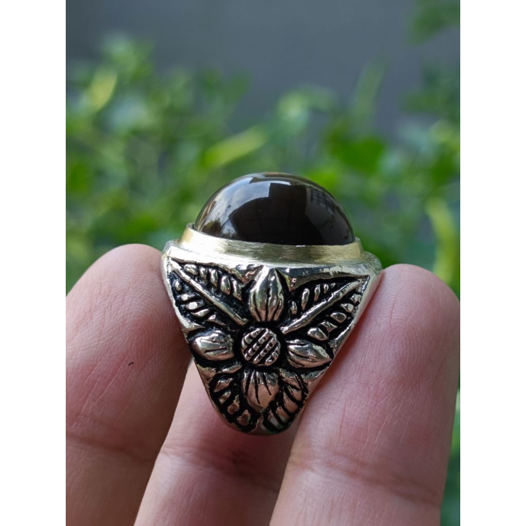 Natural Fosil Kayu KELOR "Tembus Merah"