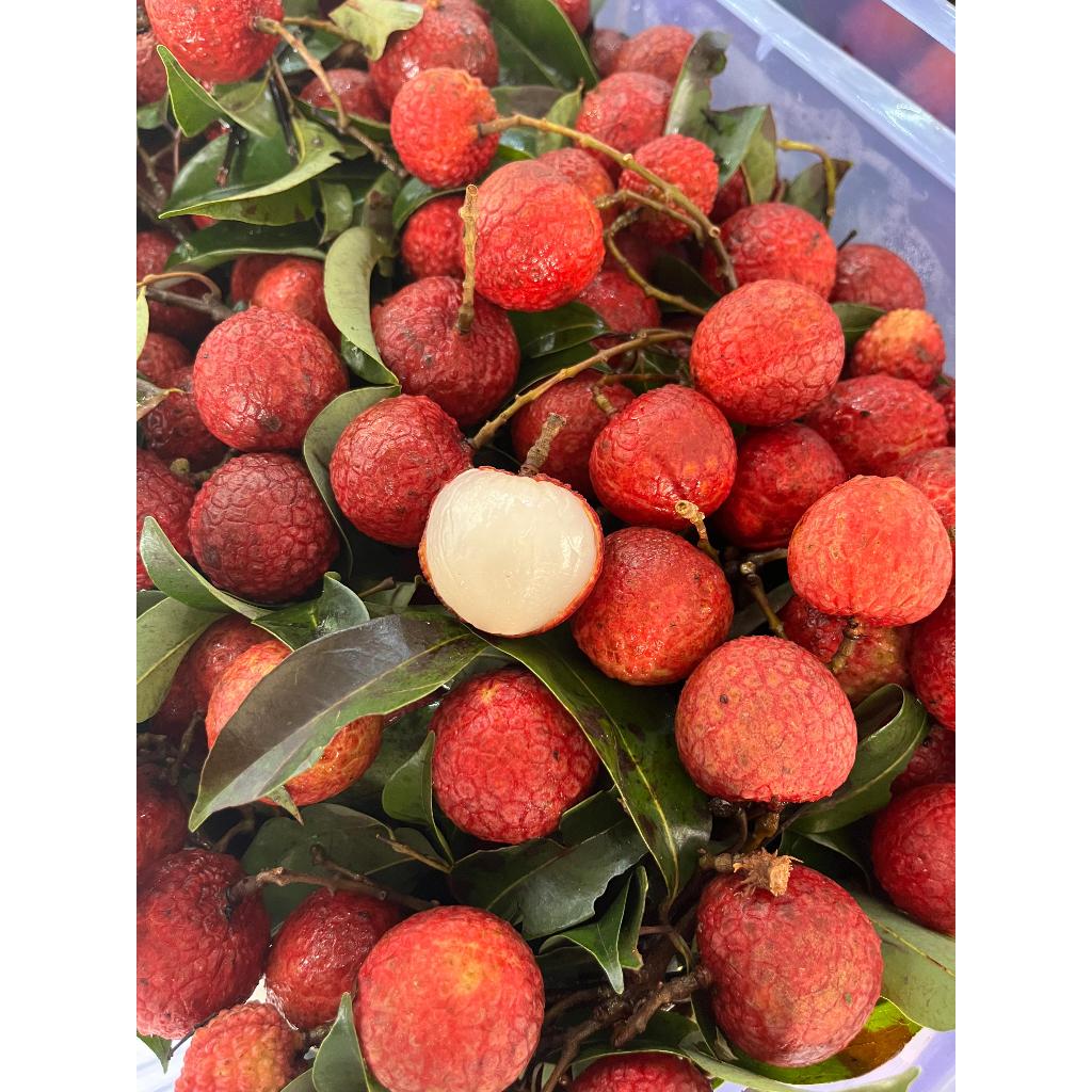 

FRESH LYCHEE MERAH/LECI SEGAR - SUKABUAH