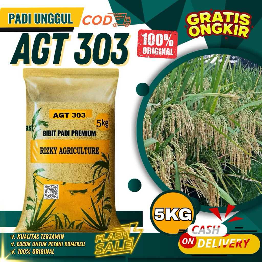 BENIH PADI BIBIT PADI AGT 303 BIBIT UNGGUL 5KG
