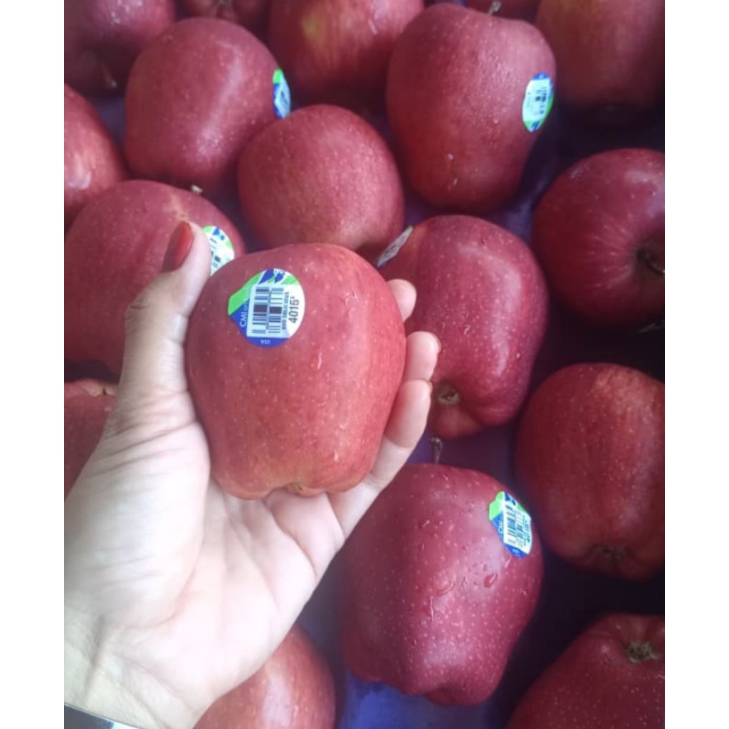 

apel merah fresh netto 1000gr