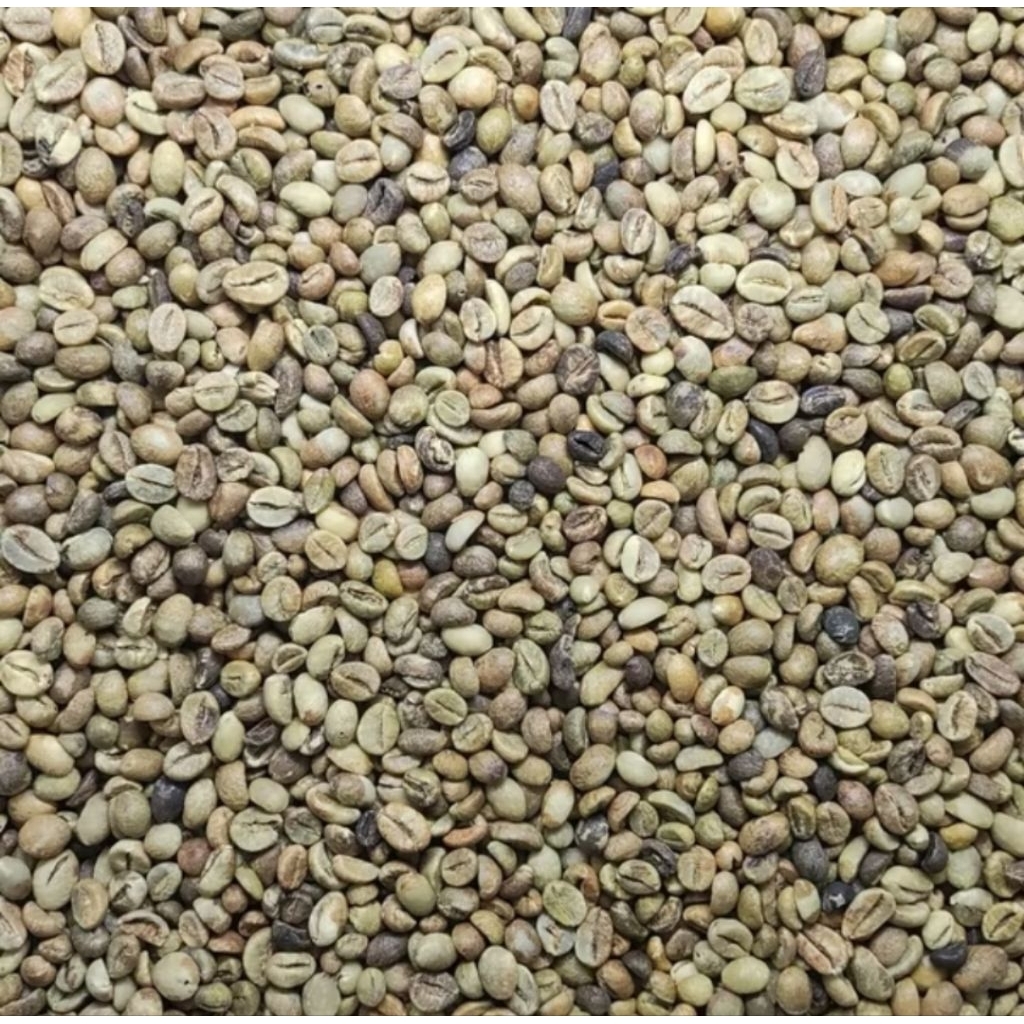 

Green bean biji kopi robusta Grade 3 Lampung