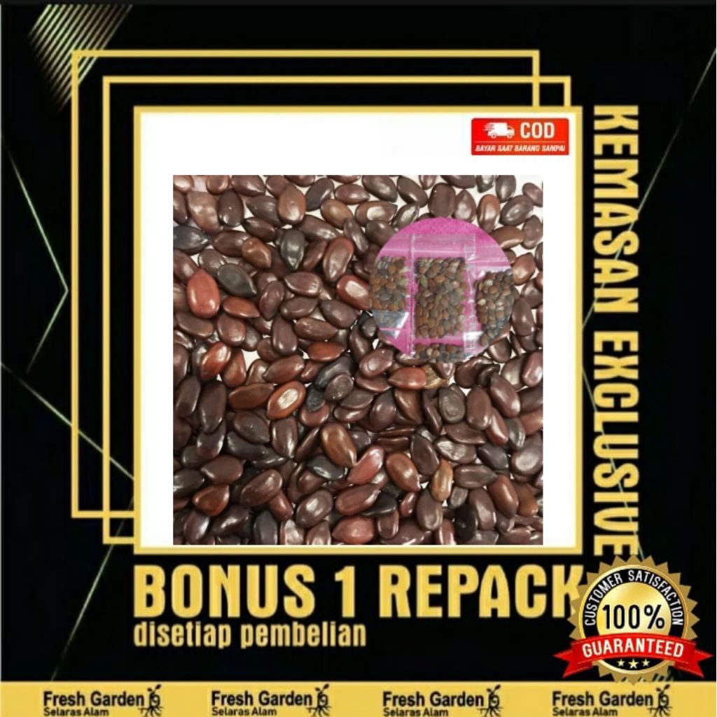 

Biji Petani Cina 20 gr Pete China Lamtoro Kolase...