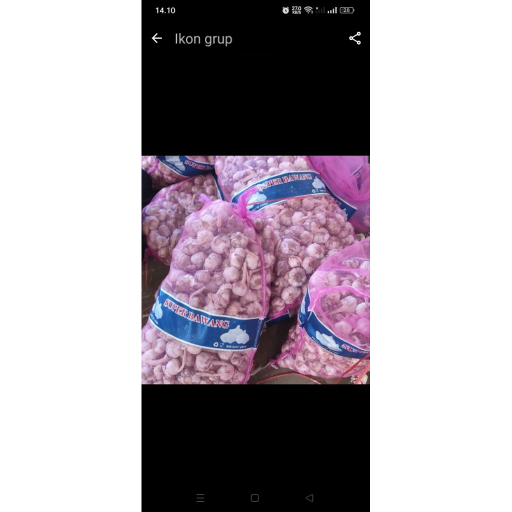 

Bawangputih bawang putih murah #bawangputihmurah