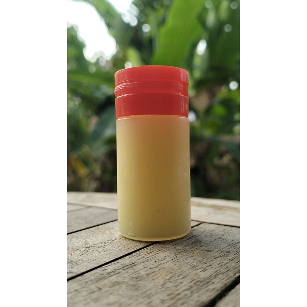 

royal jelly murni asli royal jelly original royal jelly ginseng royal jelly murni royal jelly high dessert royal jelly madu royal jelly gingseng royal jelly forever young royal jelly suplemen royal jelly madu abadi hutan tropis suplemen royal jelly