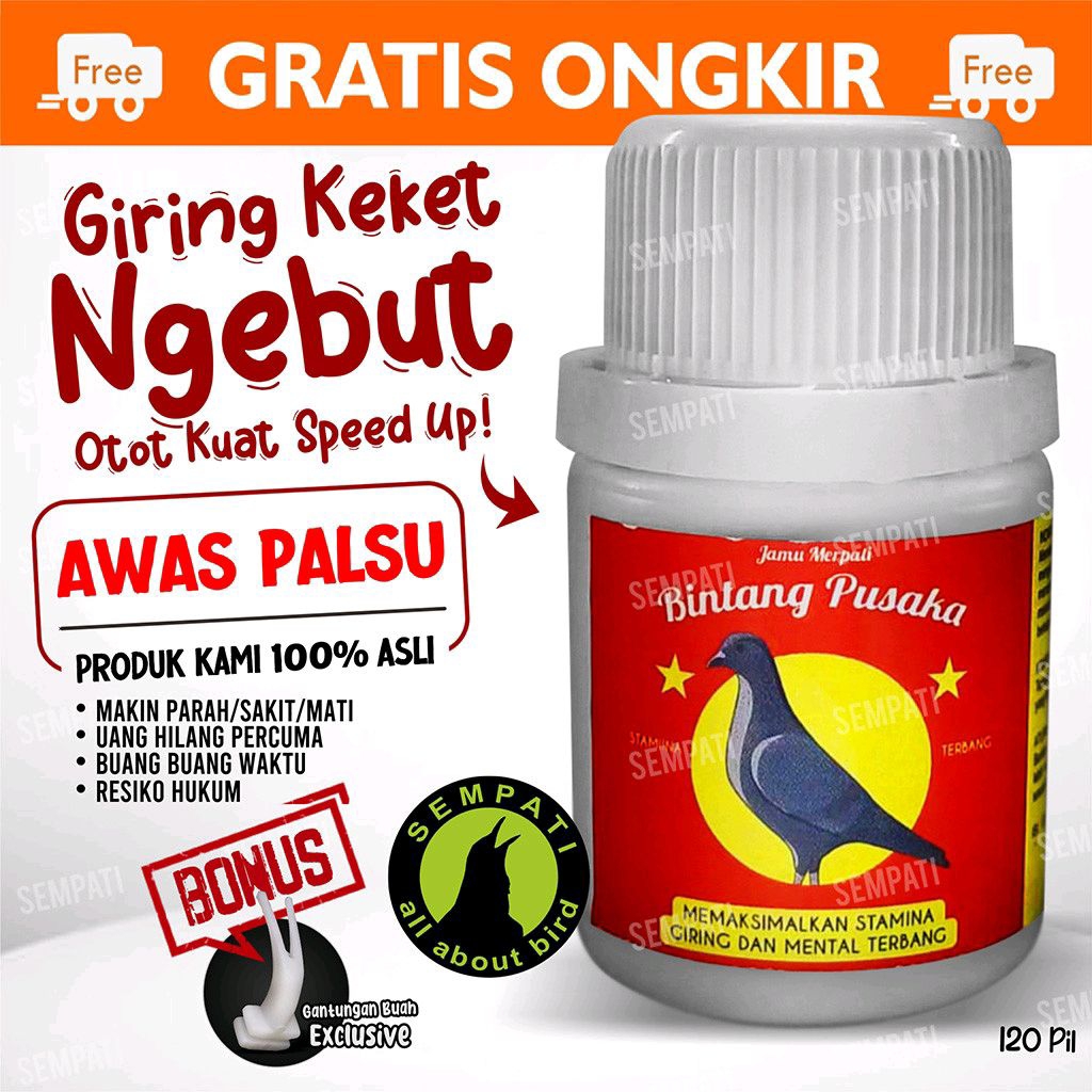 Jamu Merpati Bintang Pusaka 120 Butir Jamu Terbang Burung Merpati Lomba Balap Kolong Pos Tomprang Da