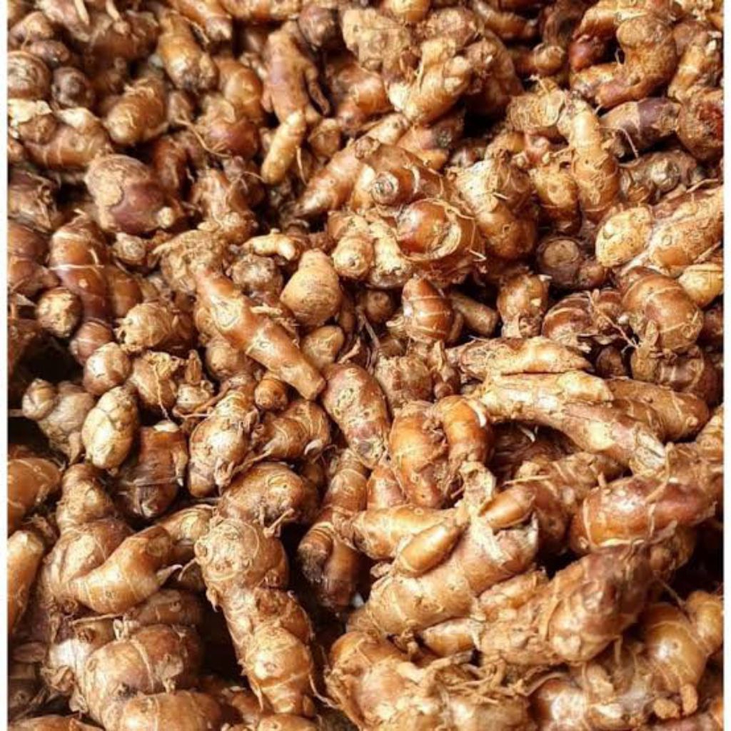 

1kg kencur segar berkualitas cocok untuk bikin seblak