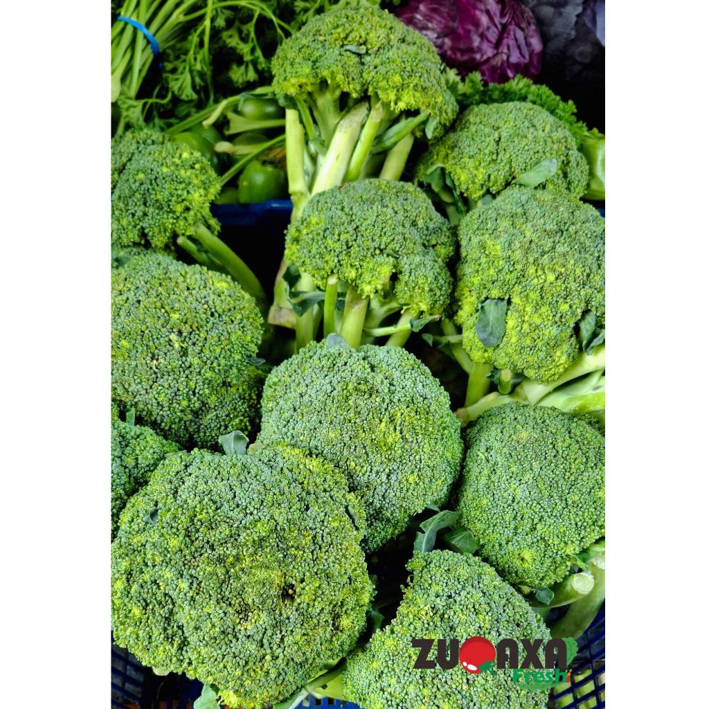 

Brokoli / broccoli 250 GR / 500 GR / 1 KG