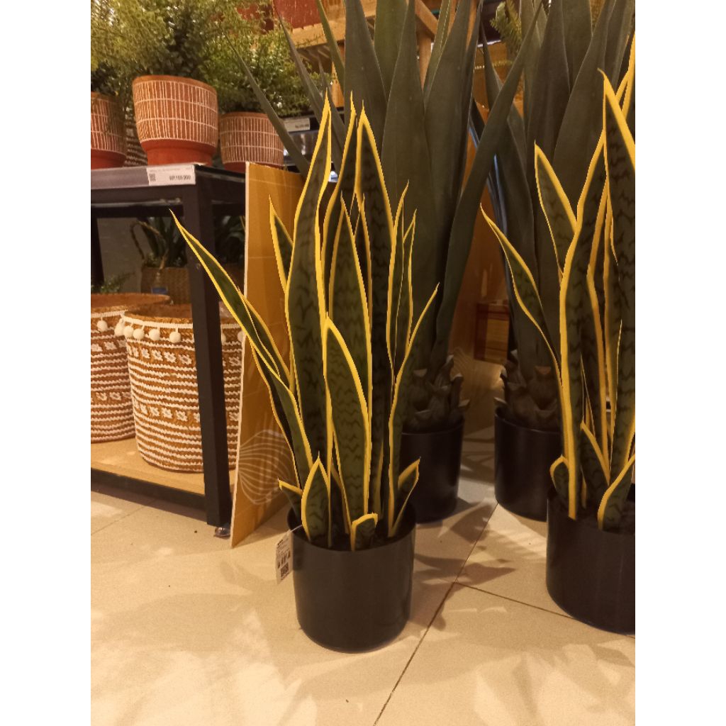 Tanaman Artificial Informa