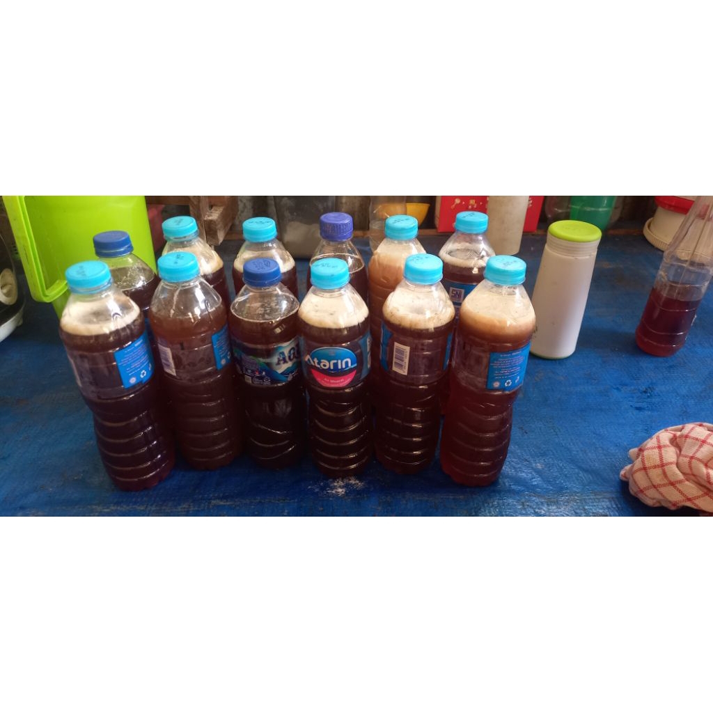 madu asli lebah hutan apis dorsata