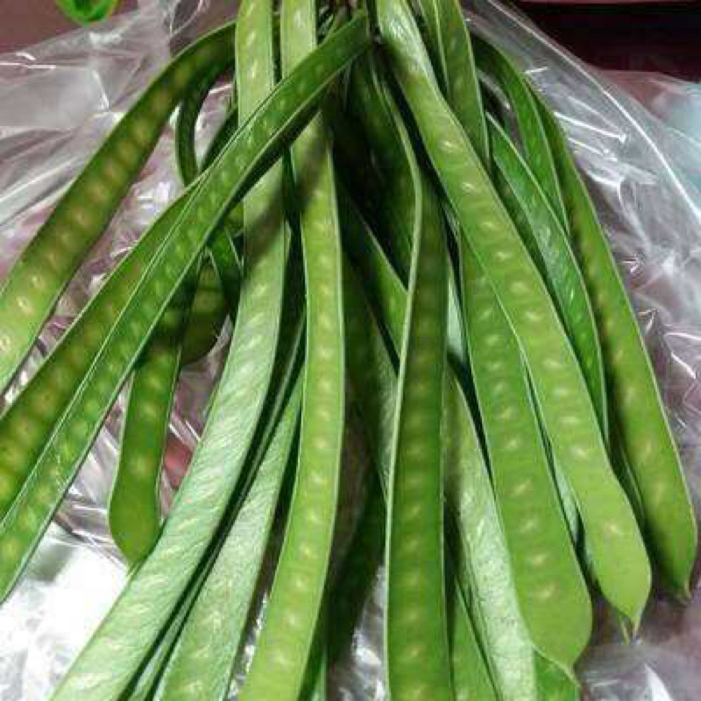 

Pete China, Lamtoro Muda / Tua | 500gr | Sayuran Segar