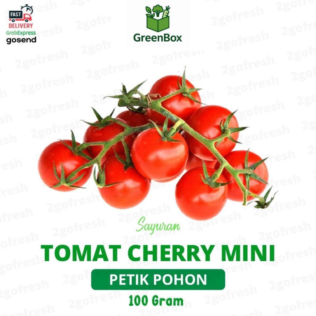 

Tomat Cherry Fresh - Sayur Sayuran