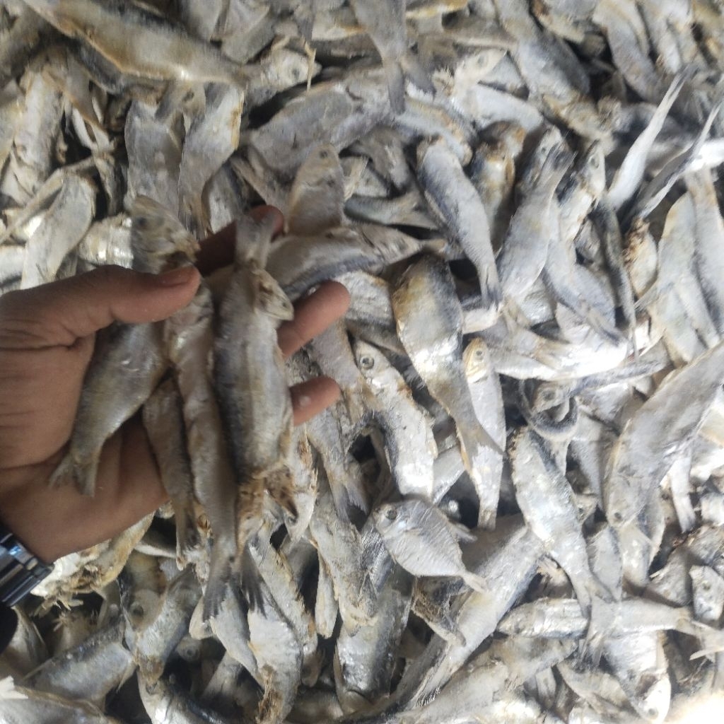 

Ikan Asin Campuran Murah Paket 1 kg