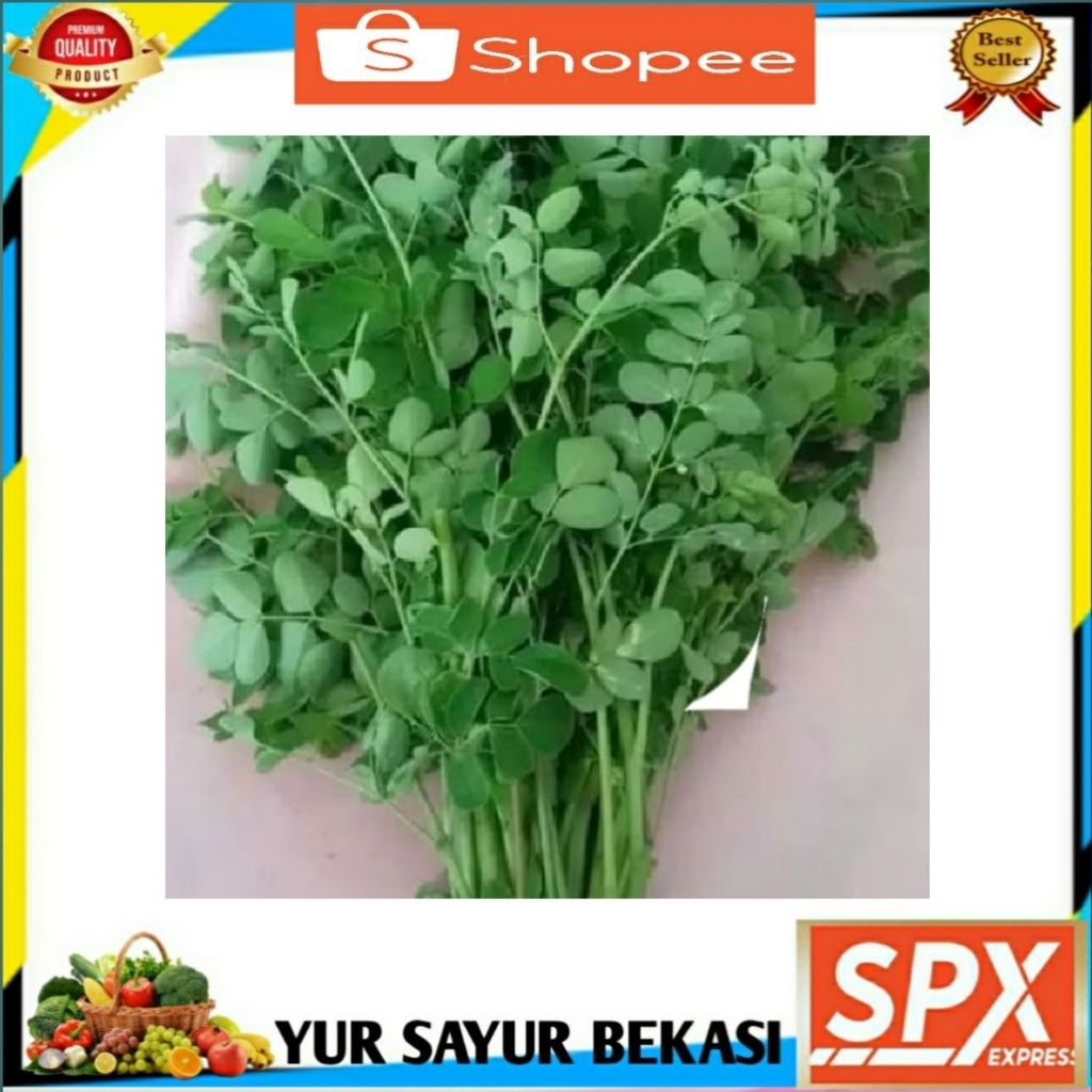 

Daun Kelor ( 1 ikat).