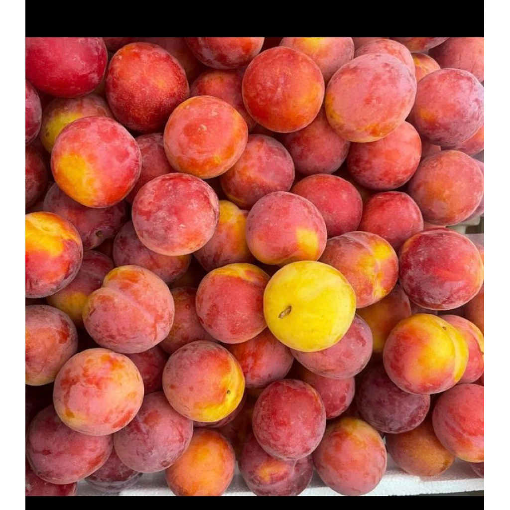 

Plum aprium red velvet fresh - Buah plum red velvet 500 grm