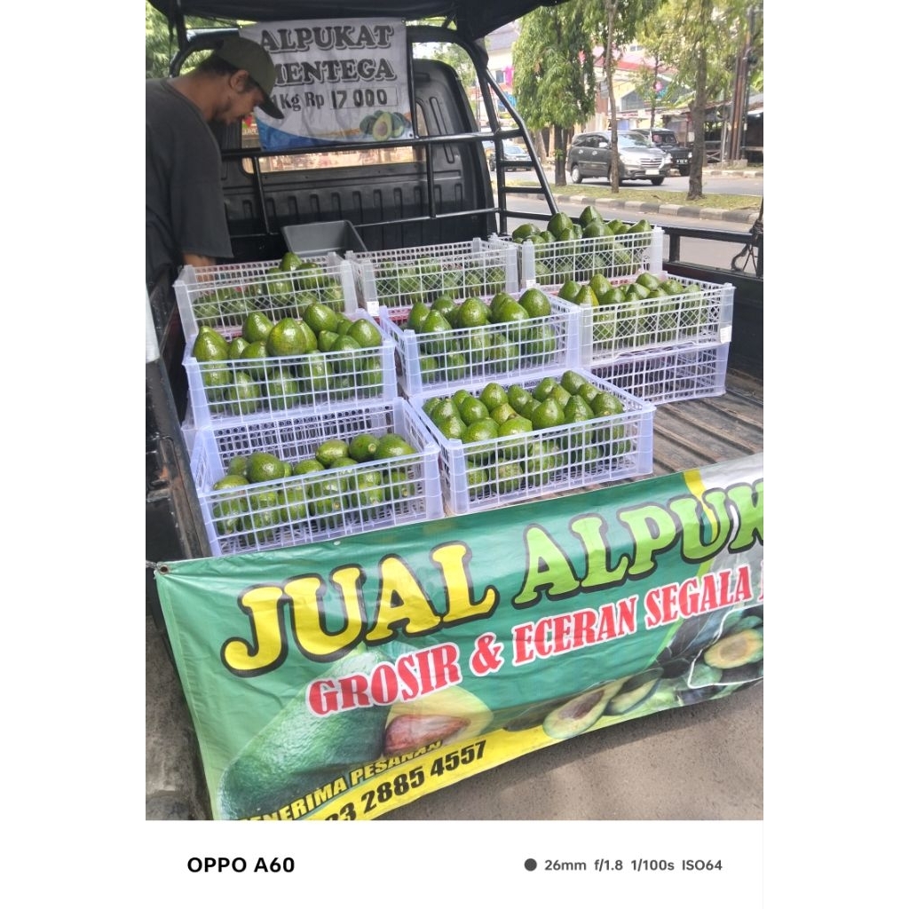 

alpukat mentega/lokal asli bandungan 2 kg isi 10-12 buah
