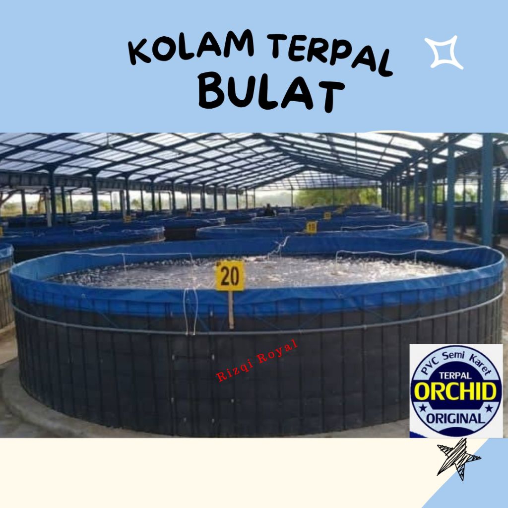 Kolam Terpal Bundar Semi Karet Merk Orchid | Terpal Saja