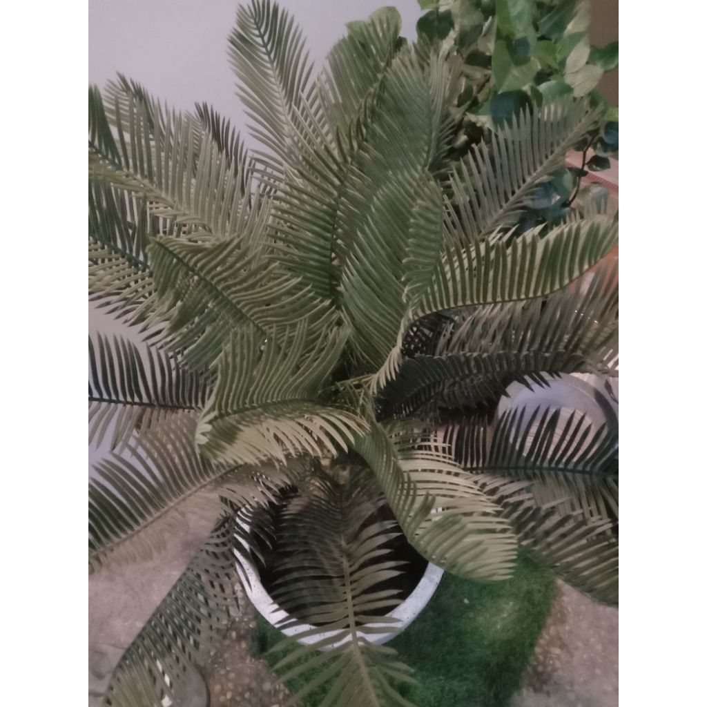 pohon sikas artificial tinggi 1m