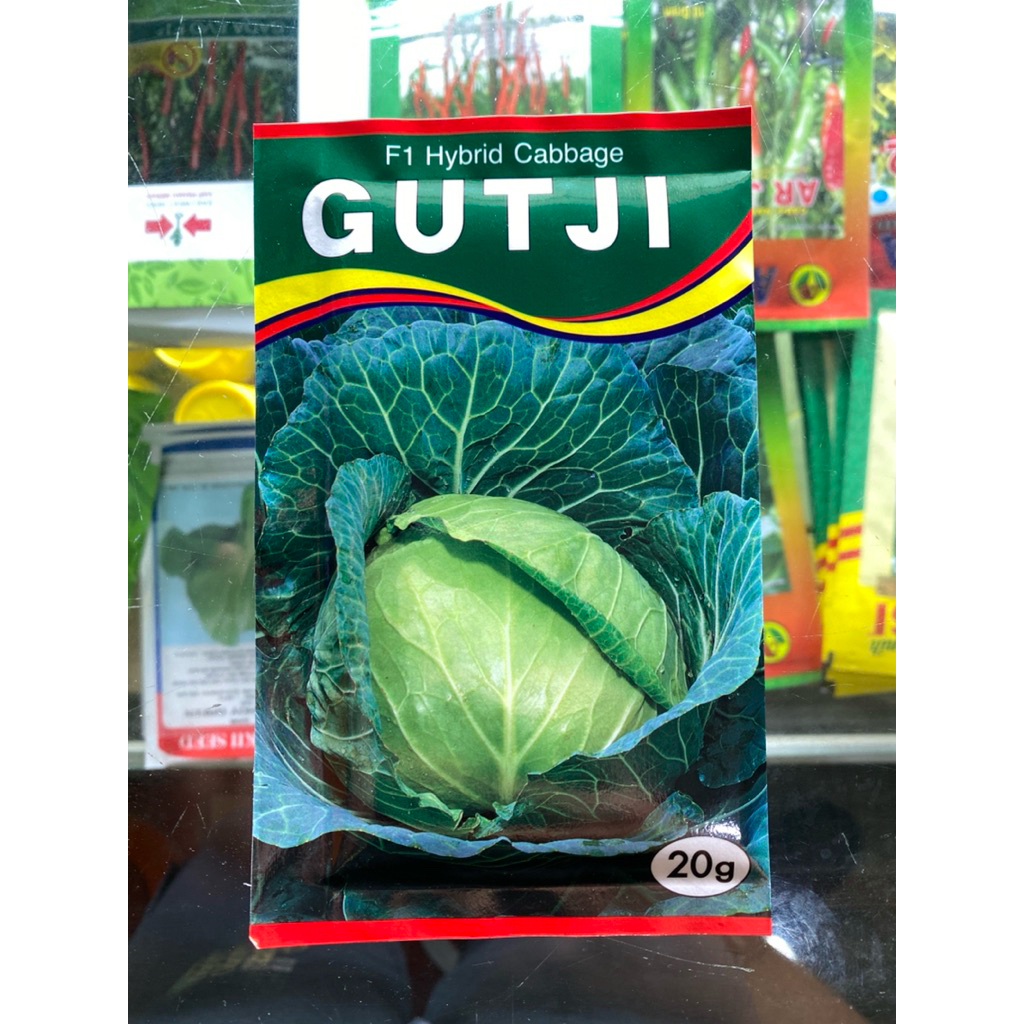 benih kubis gutji fi 20g