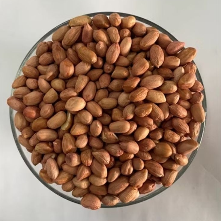 

kacang super 5.53 slug isi 100pcs