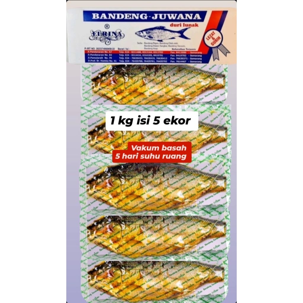 

Bandeng Presto Juwana Elrina Semarang