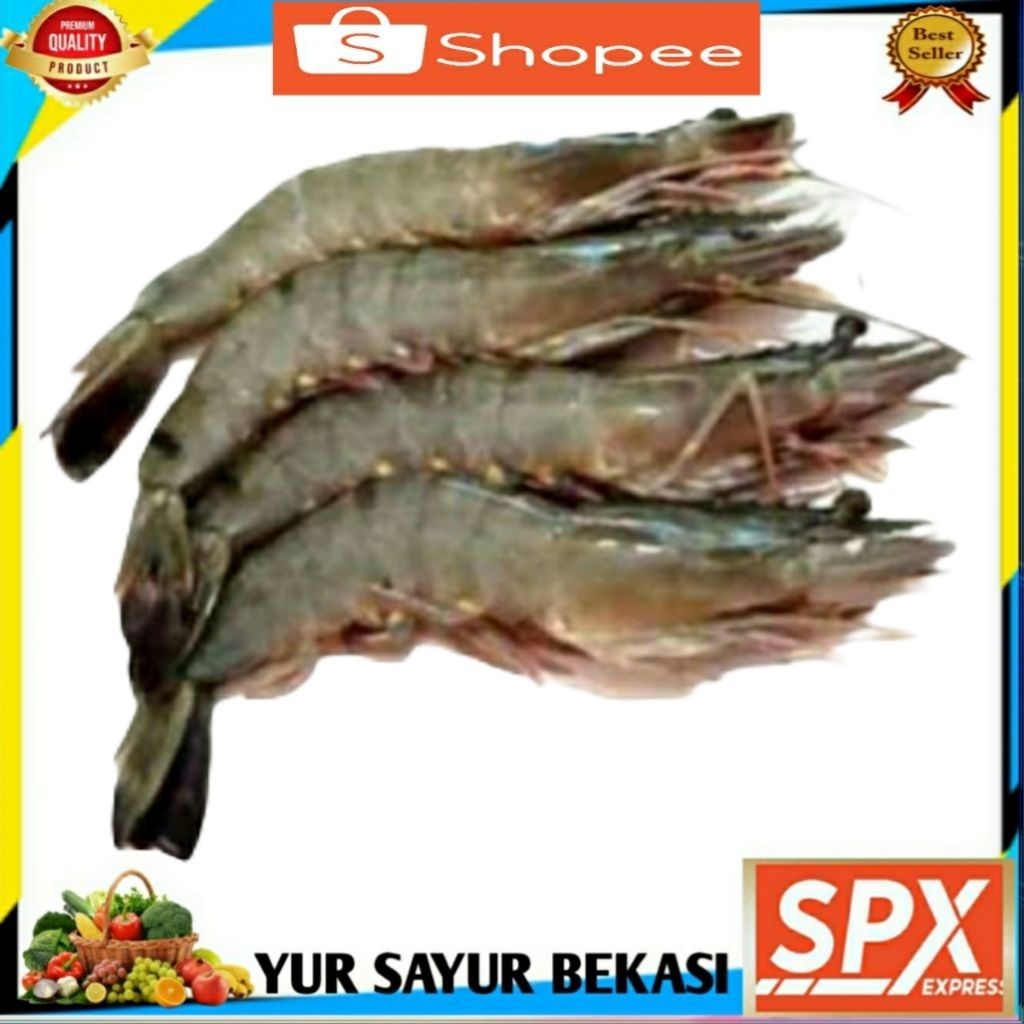 

Udang Fename/Vename Besar.