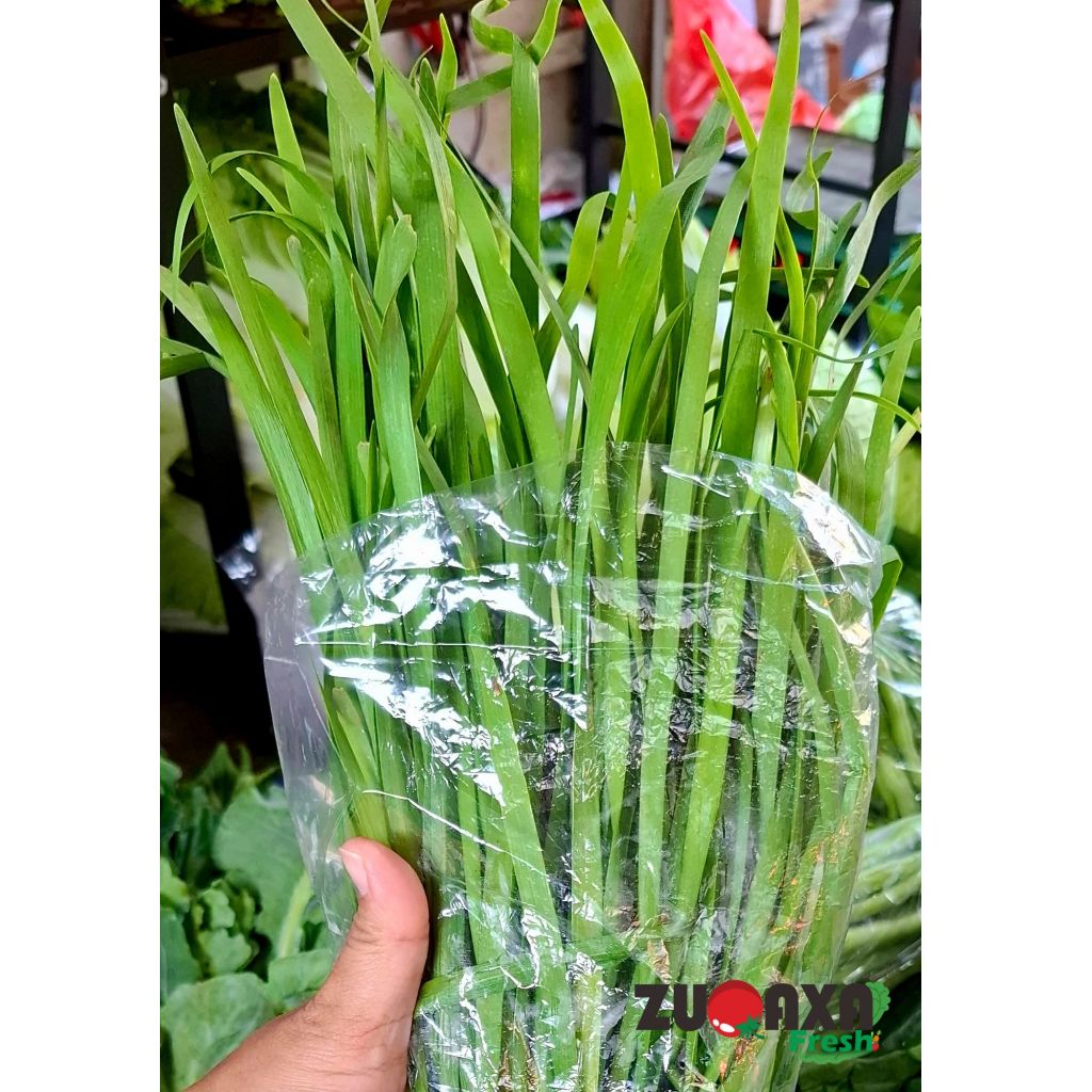 

Daun Kucai - 250gr / 500gr / 1kg